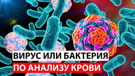 Распространение инфекции и бактерий
