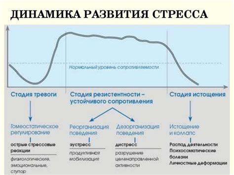 Реакция на стресс и тревогу