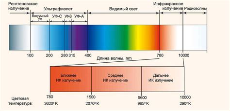Реакция на ультрафиолетовое излучение