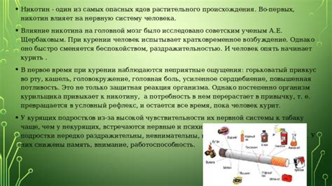 Реакция организма на никотин