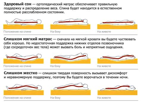 Рекомендации и советы по выбору правильного положения сна