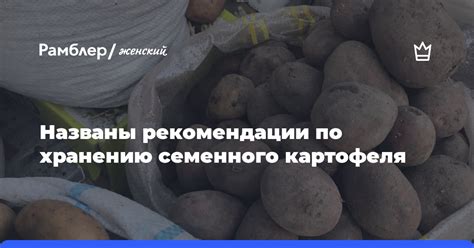 Рекомендации по хранению вареной перловки
