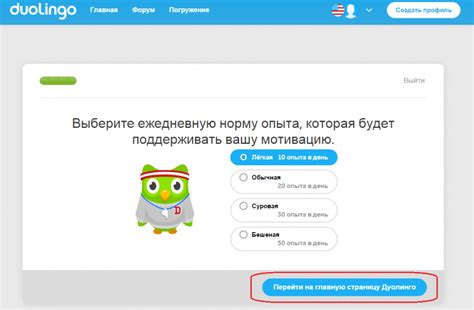 Решение: изучение английского на платформе Duolingo