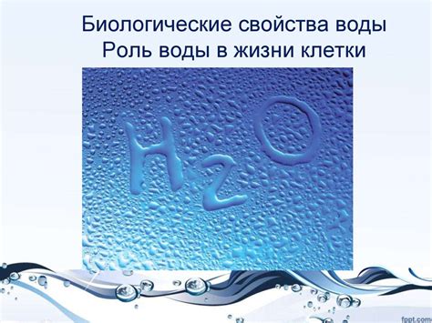 Роль воды в жизнедеятельности клетки