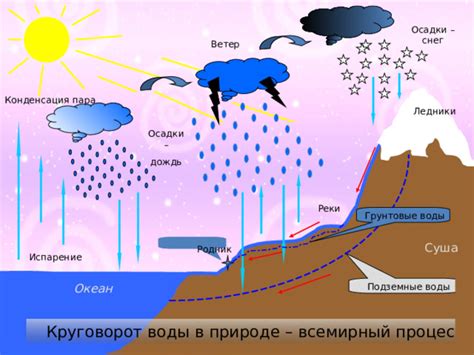 Роль водяных паров в образовании следа