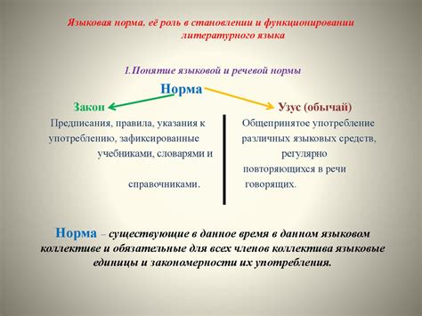 Роль литературного языка в общении и культуре: