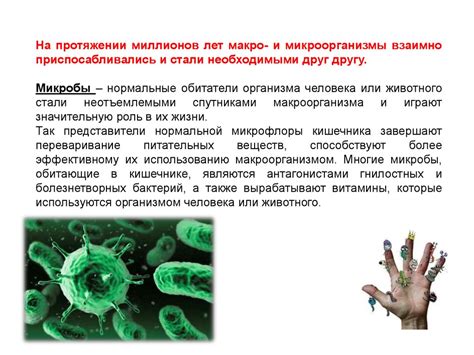 Роль микроорганизмов во вкусе и запахе