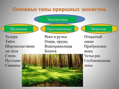 Роль окружающей среды