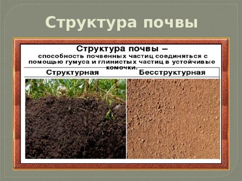 Роль почвы в природе