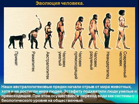 Роль рода в формировании истории человечества