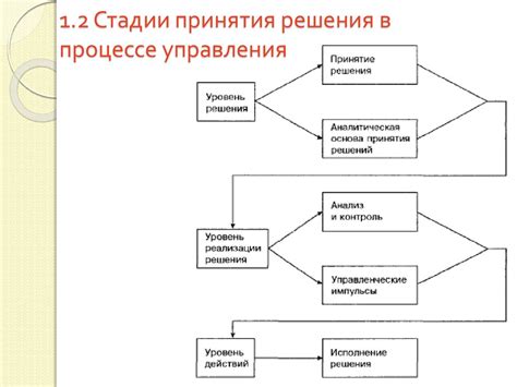 Роль социального опыта в процессе принятия решений