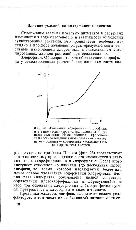 Роль физических условий в процессе зеленения