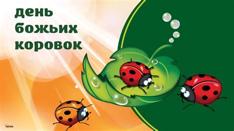 Связь состояния окружающей среды с причинами смерти божьих коровок