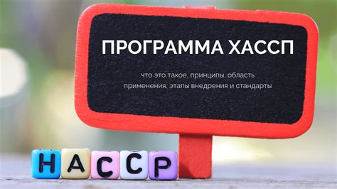 Силовая программа Аризона РП: этапы применения и ответы
