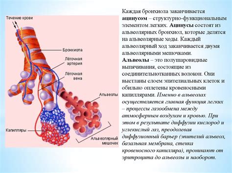 Скопление газообразных пузырей в тканях