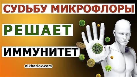 Слабый иммунитет новорожденного: почему возникает риск