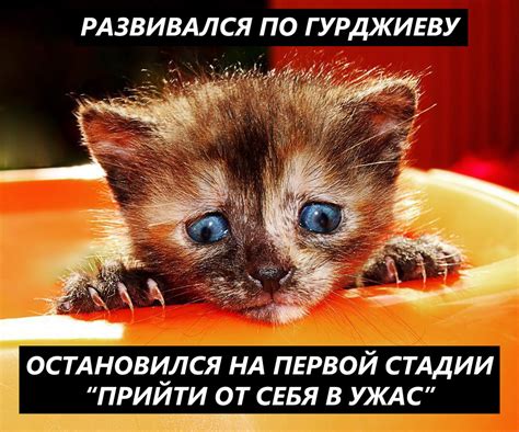 Сложности саморазвития