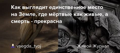 Смерть как единственное решение из-за разочарования в окружающей реальности