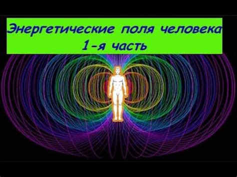 Собаки и энергетические поля