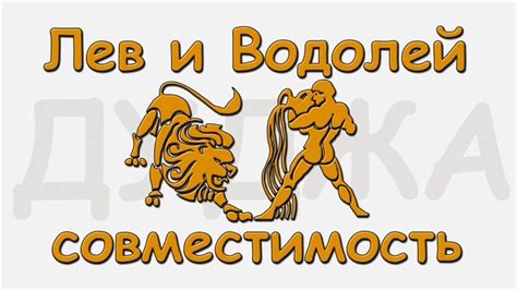 Советы по общению с мужчиной Водолеем: