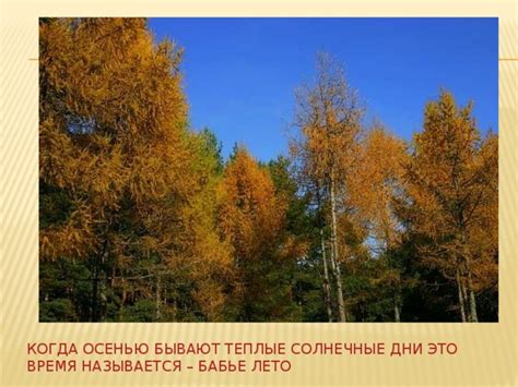 Солнечные дни осенью