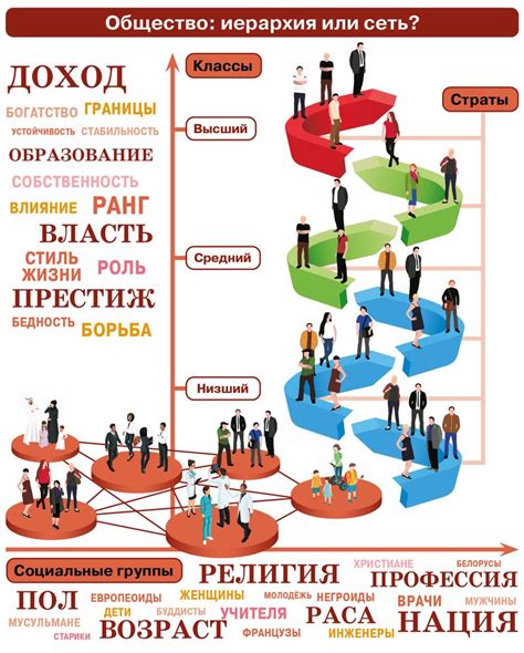 Социализация и социальная иерархия
