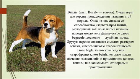 Социальность и дружелюбие