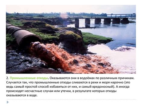 Социальные последствия запрета стряхивания воды с рук
