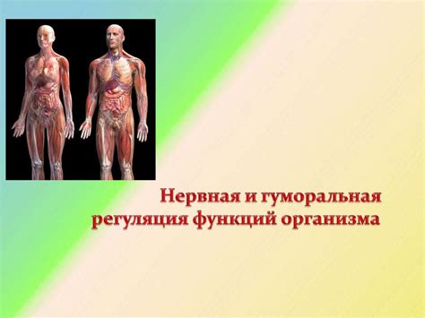 Специфика функций организма