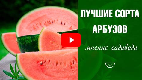 Способы комбинирования арбуза и молока для минимизации негативных последствий