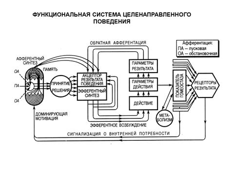 Способы регулирования физиологических реакций