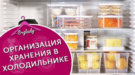 Срок хранения кабачковых оладий в холодильнике