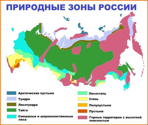 Статистика бритья паховой зоны в России