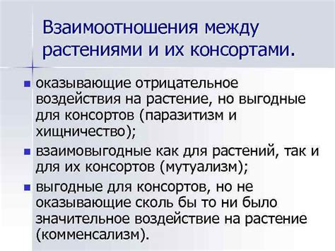 Стрессовые ситуации: как избежать их воздействия на растение