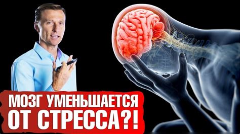 Стресс и нервные нагрузки