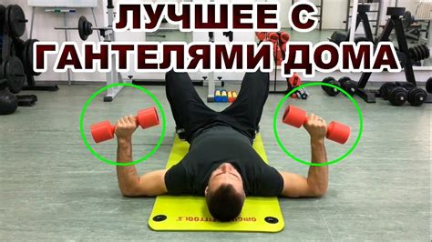 С чего начать тренировки ребенка 13 лет с гантелями