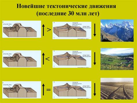 Тектонические движения