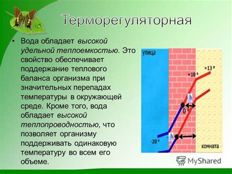 Теплопроводность воды