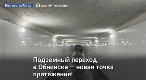 Третье сравнение: рябина - точка притяжения для птиц