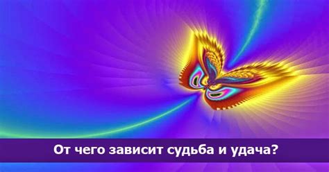 Удача зависит от поиска