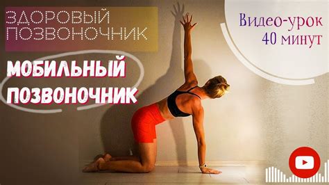 Улучшение позвоночника
