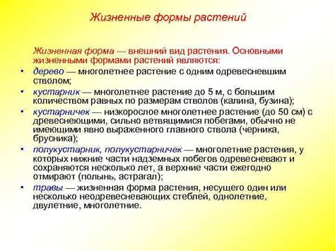 Уникальная жизненная форма
