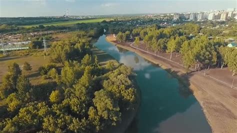Уникальные возможности лесного пути