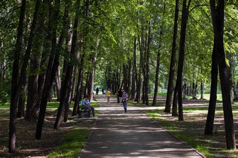 Уникальные особенности Собачьего парка