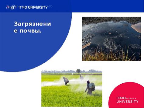 Уничтожение естественных врагов