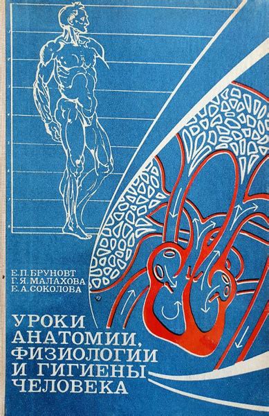 Уроки анатомии человека