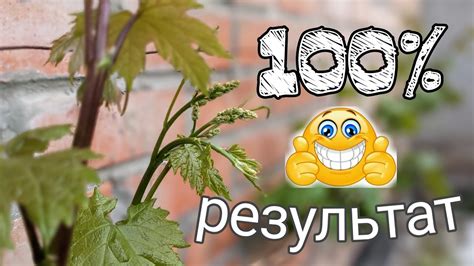 Ускорение процесса посадки