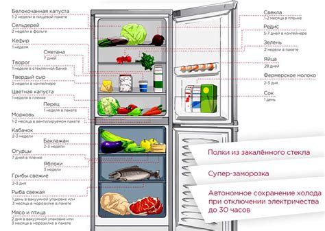 Факторы, влияющие на сроки хранения шаурмы без холодильника