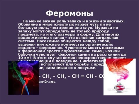 Феромоны и их роль в усилении запаха цветов