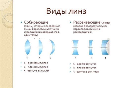 Физика аромата: как духи распространяются на расстояние